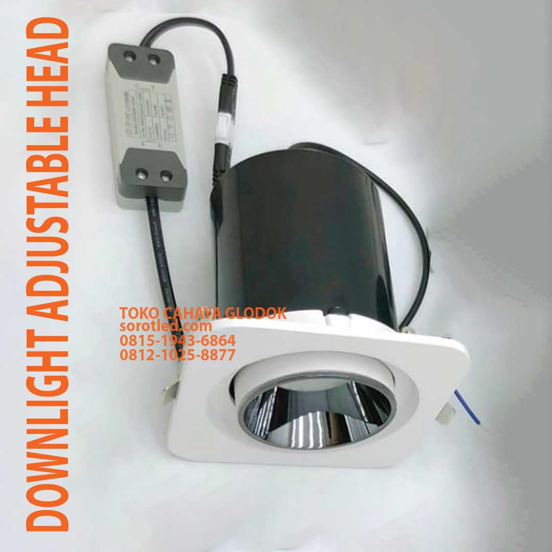 lampu downlight adjustable head