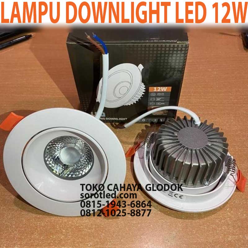 lampu downlight led 12w