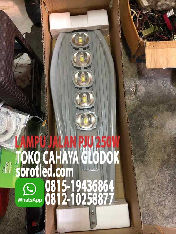 lampu jalan pju 250w