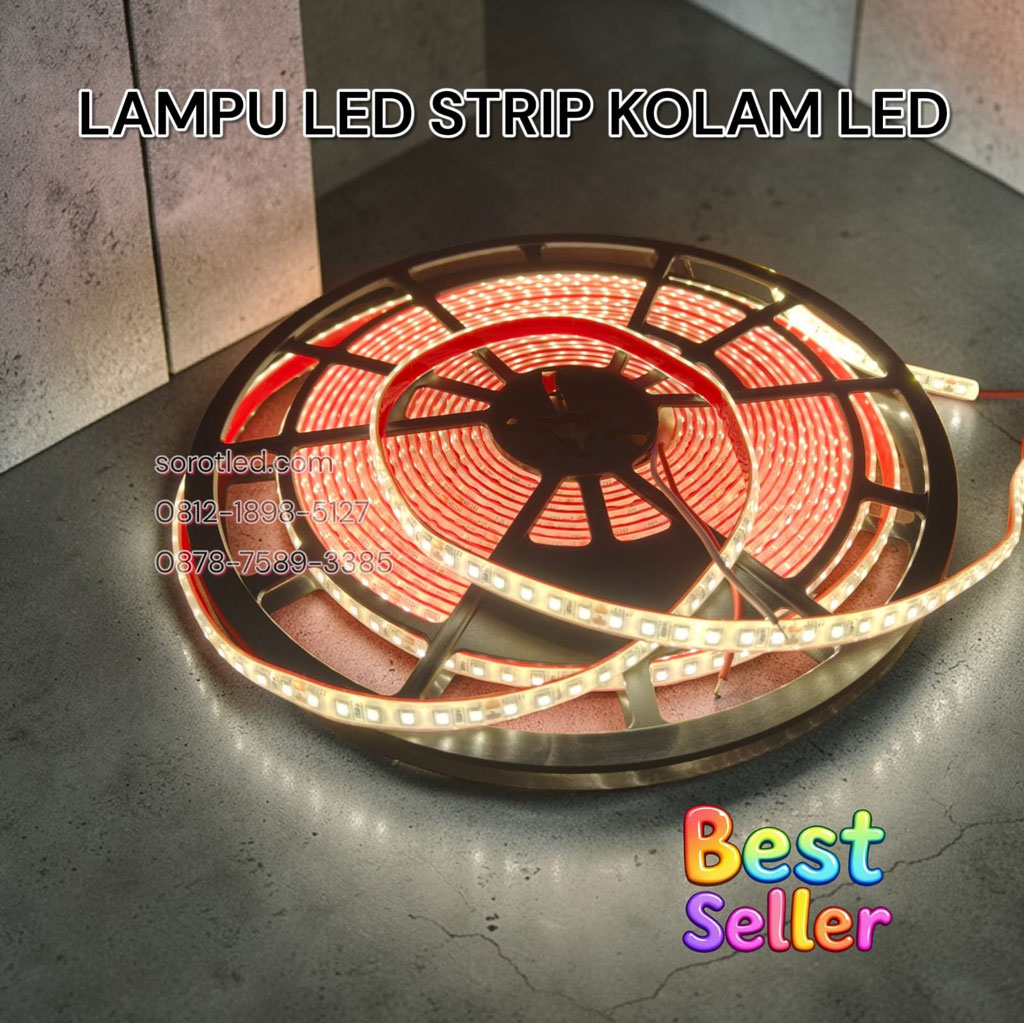 lampu led strip kolam led 24v 10m ip68