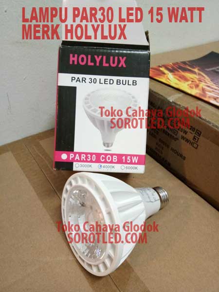 Lampu PAR30 COB LED merk Holylux 15 watt