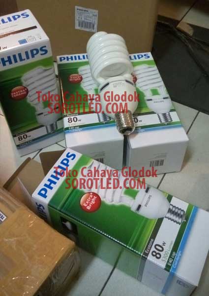 Philips EHL Twister 80watt 6500K E40