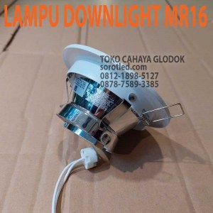 downlight halogen mr16