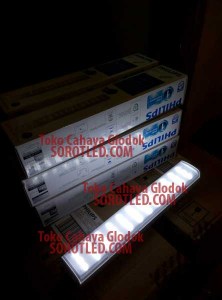 Lampu Emergency Philips LED 30505