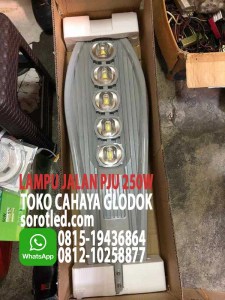 lampu jalan pju 250w