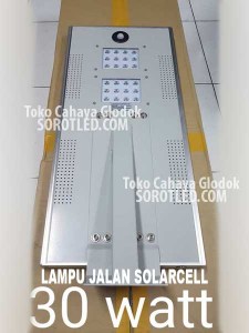 Lampu Jalan PLTS 30w 40w 60w Solar Cell