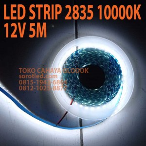 led strip 10000k